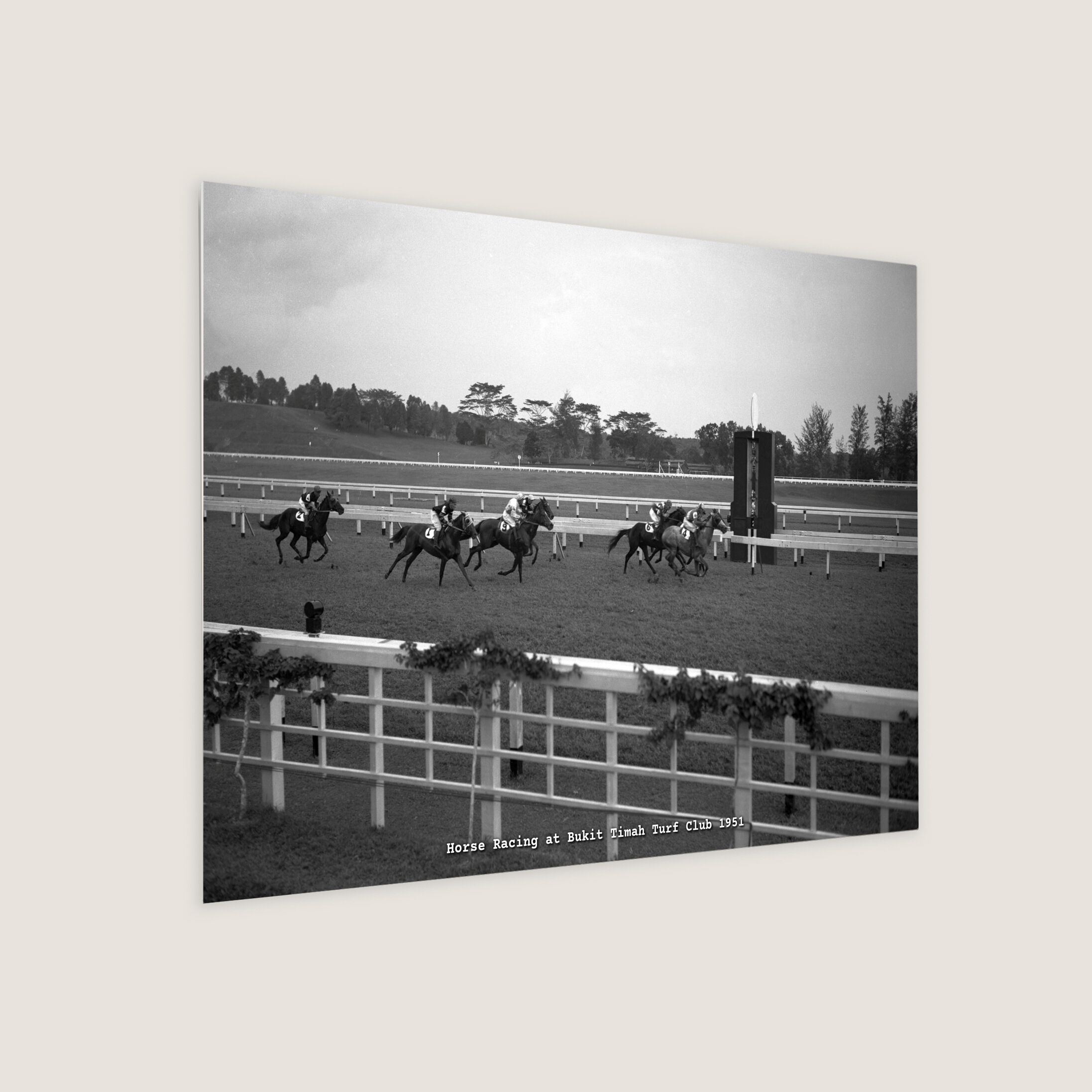Horse Racing at Bukit Timah Turf Club 1951-My Sg Memories