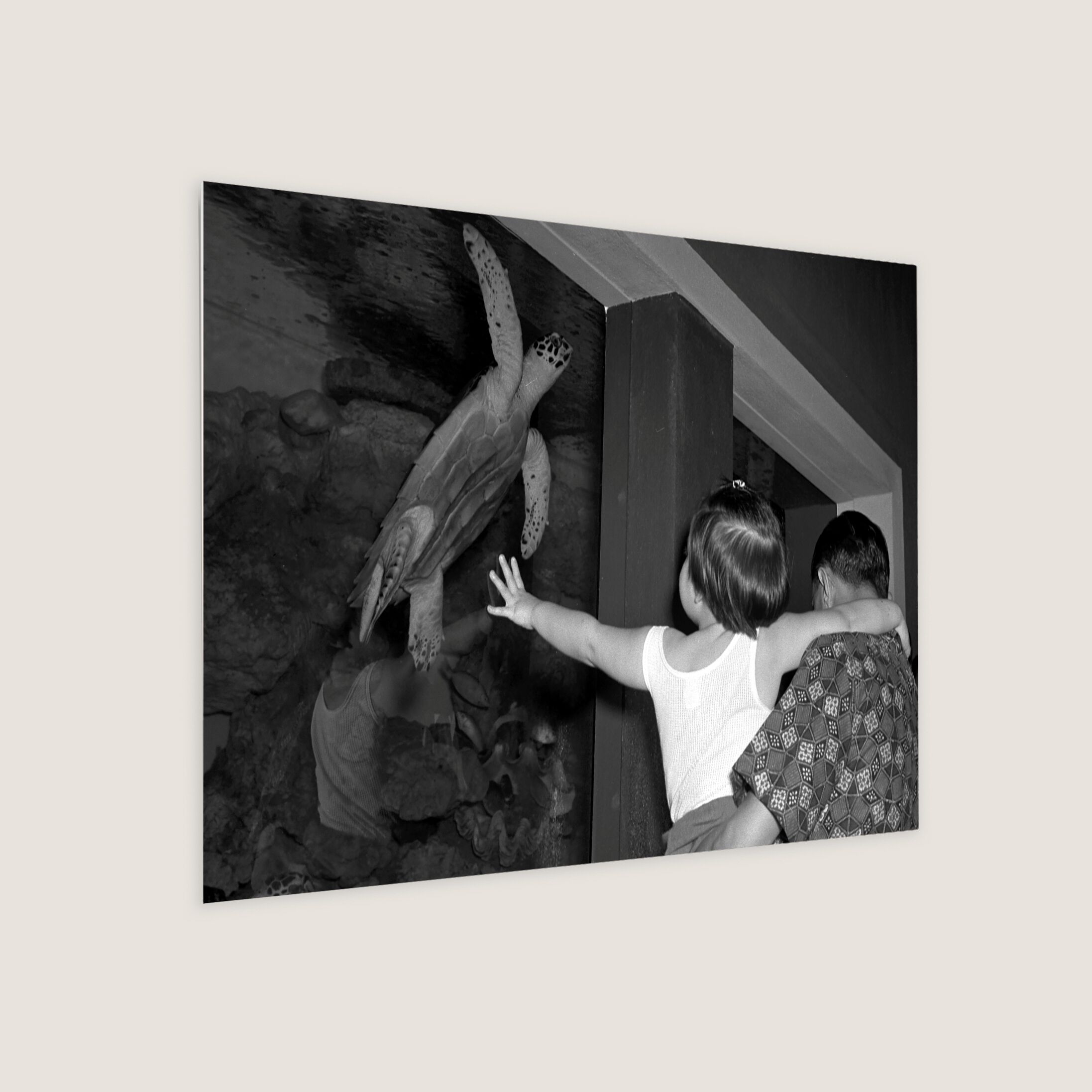 Opening Day of the Van Cleef Aquarium 1955-My Sg Memories
