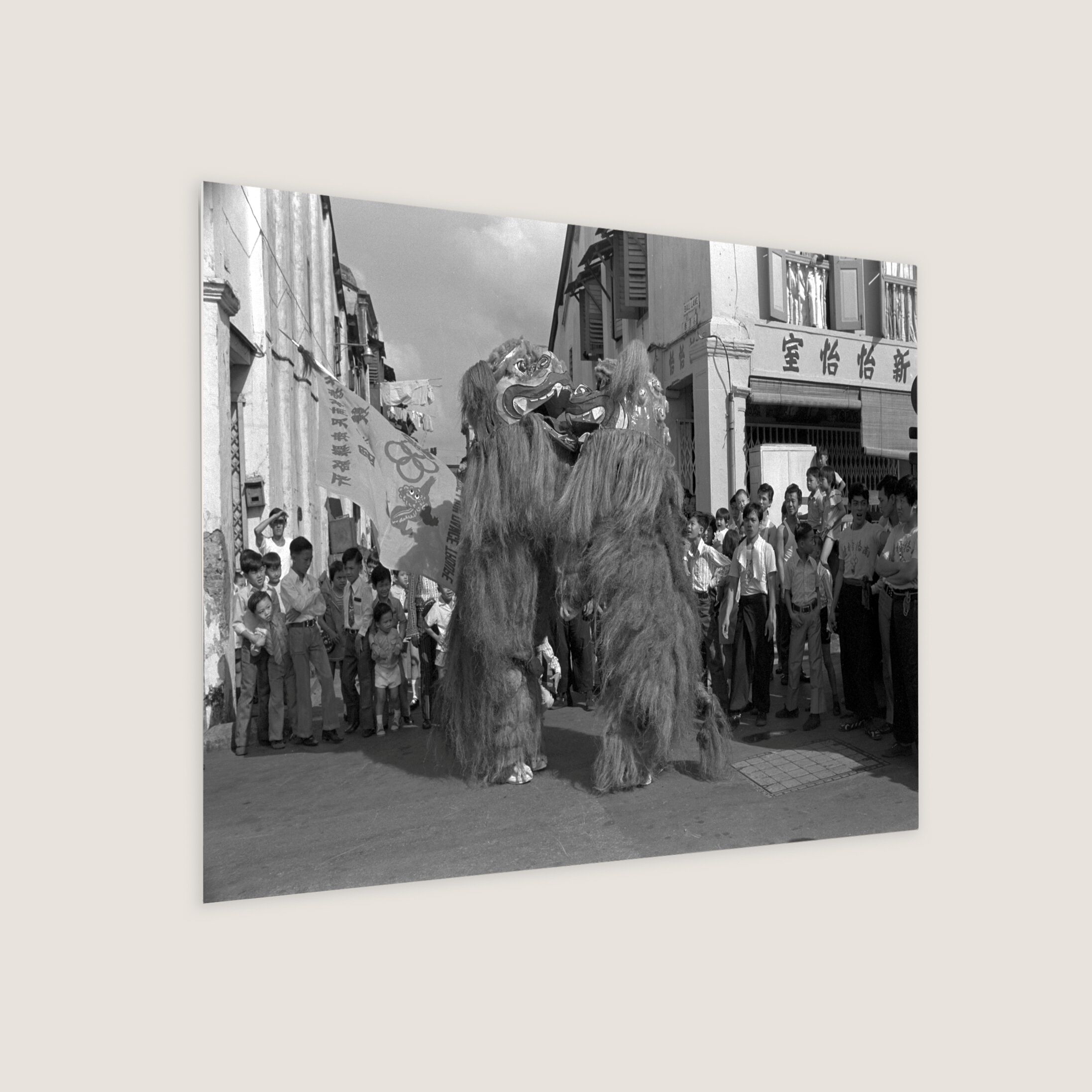 Kissing Lions 1973 Metal Panel