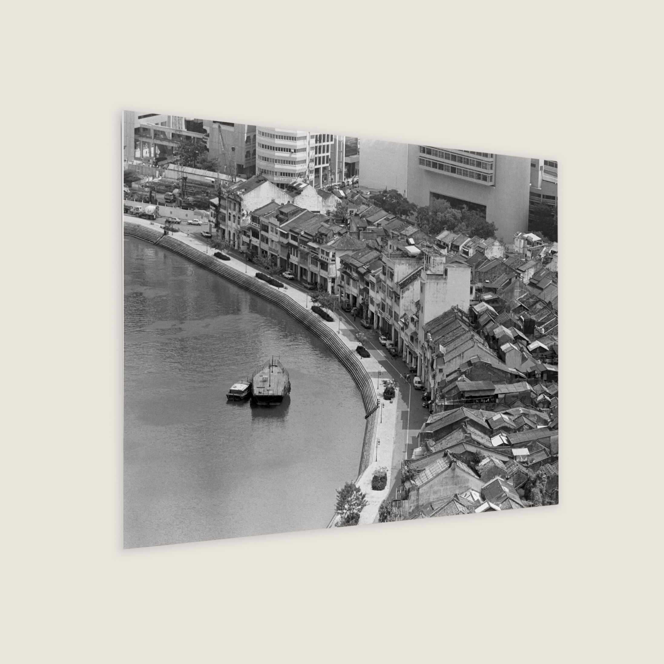 The Carp Belly After the River Cleanup 1988