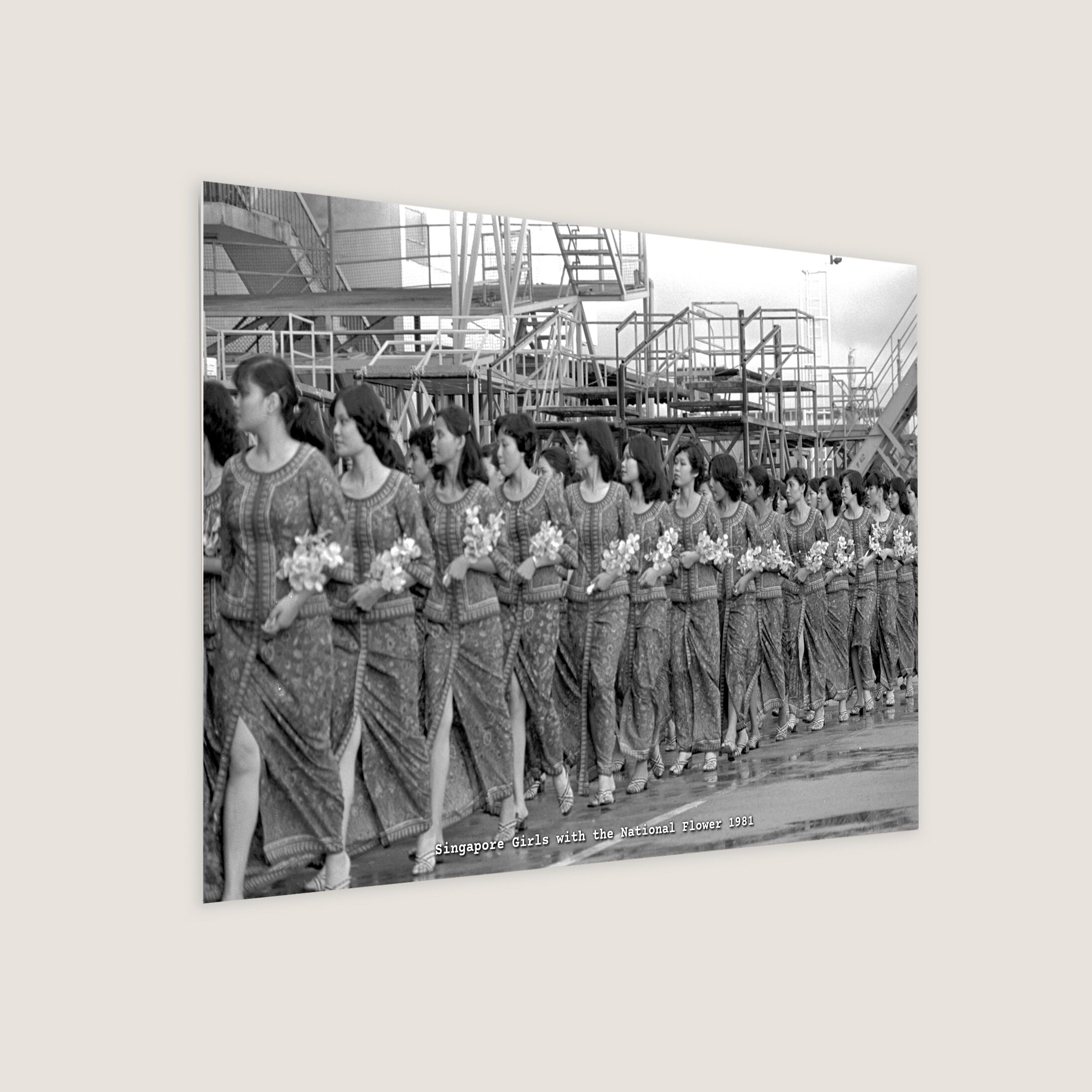 Singapore Girls with the National Flower 1981 Metal Panel