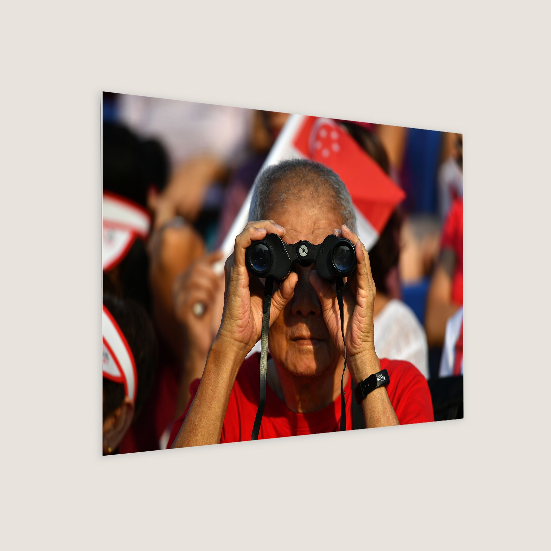 Spectator Watching National Day Parade 2019-My Sg Memories