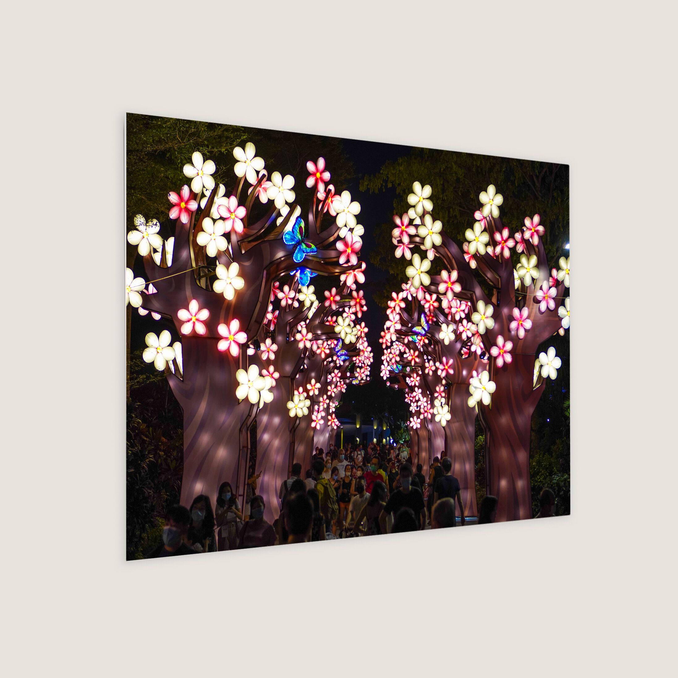 Flower Lantern Dedicated to the Medical Personnel 2020-My Sg Memories