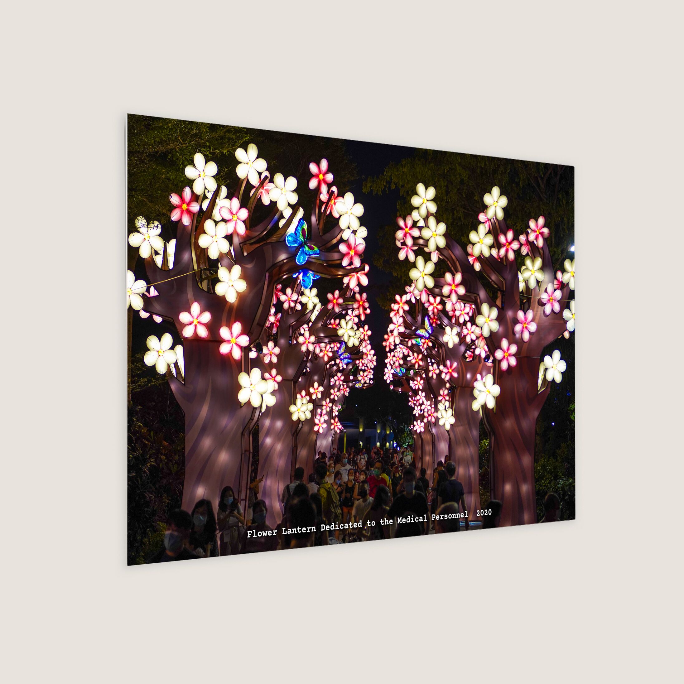 Flower Lantern Dedicated to the Medical Personnel 2020-My Sg Memories