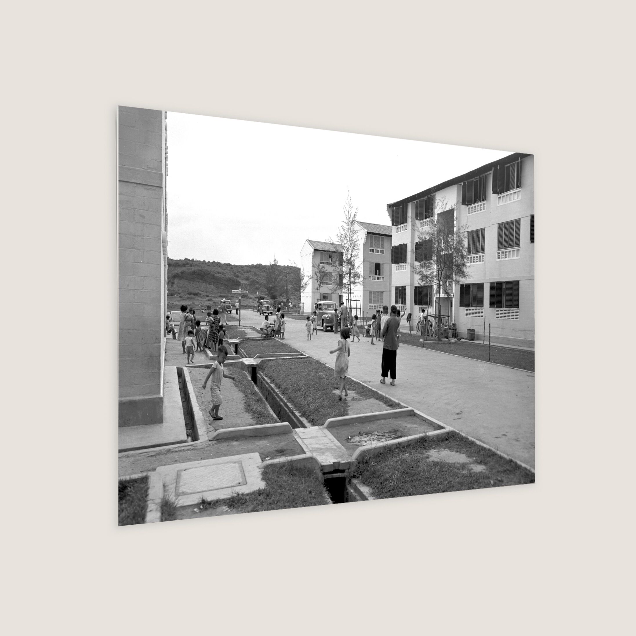 Public Housing in Queenstown 1954 Metal Panel
