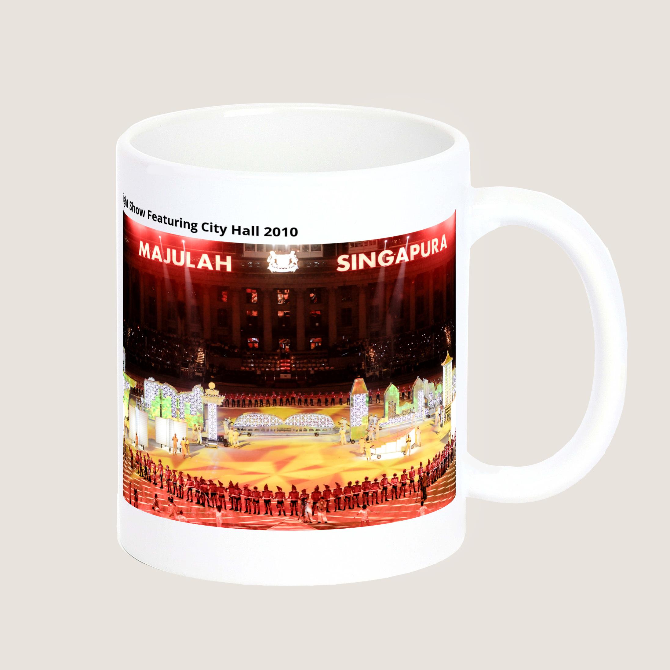 Light Show Featuring City Hall 2010 Mug