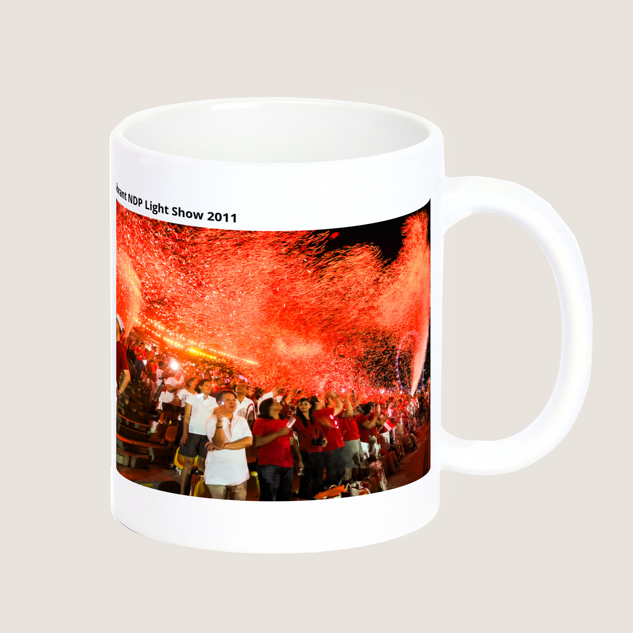 Vibrant NDP Light Show 2011 Mug