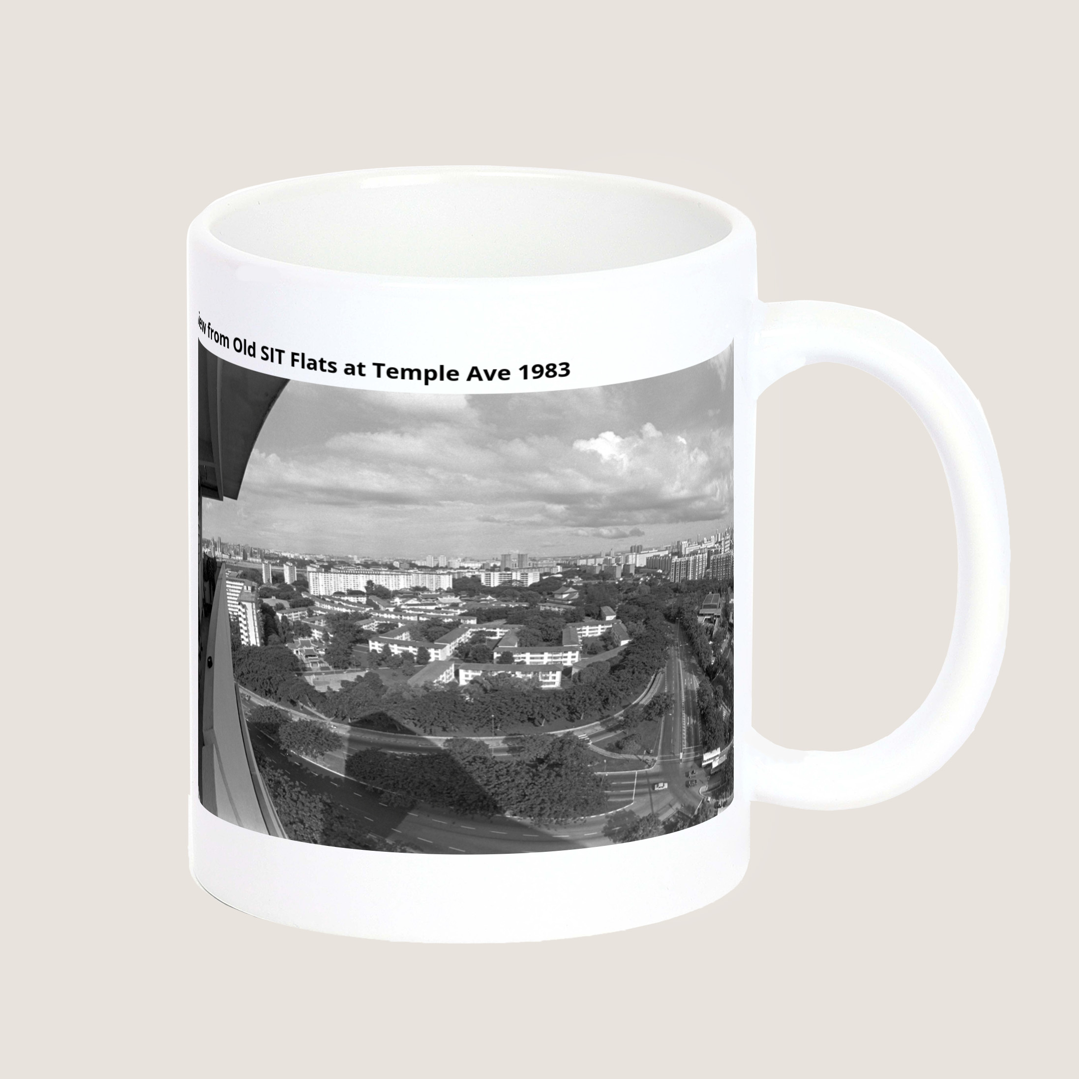 View from Old SIT Flats at Temple Ave 1983-My Sg Memories