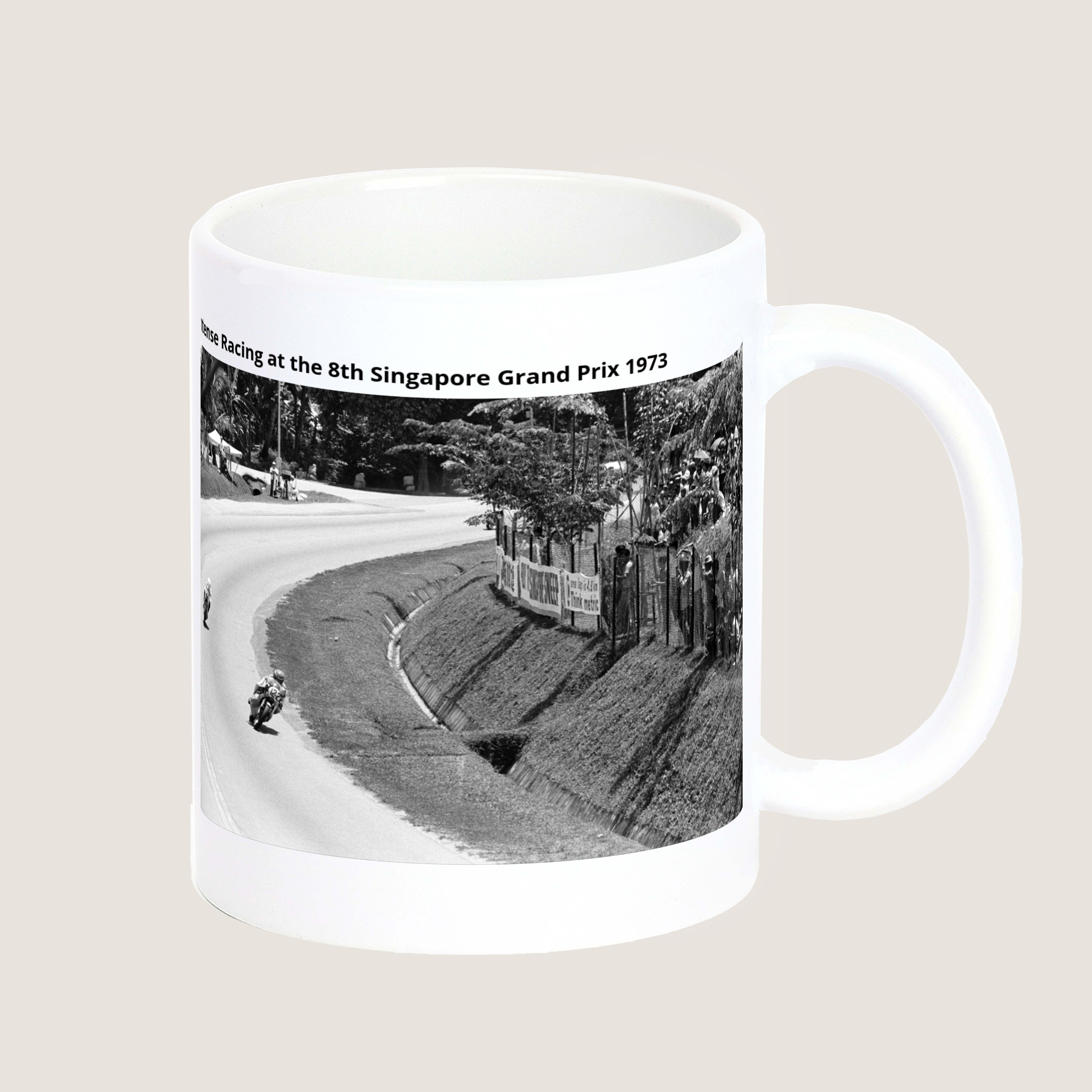 Intense Racing at the 8th Singapore Grand Prix 1973-My Sg Memories