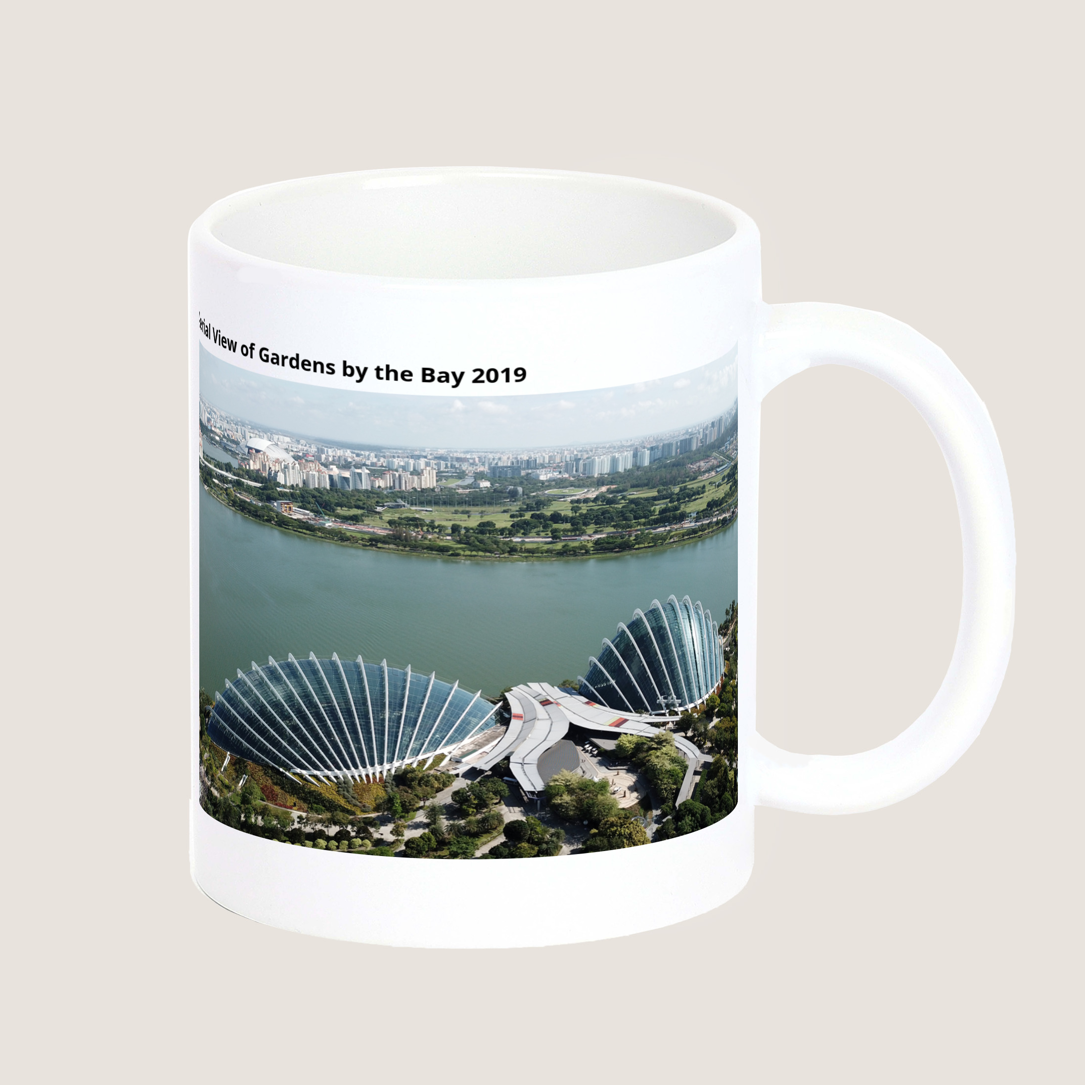 Aerial View of Gardens by the Bay 2019