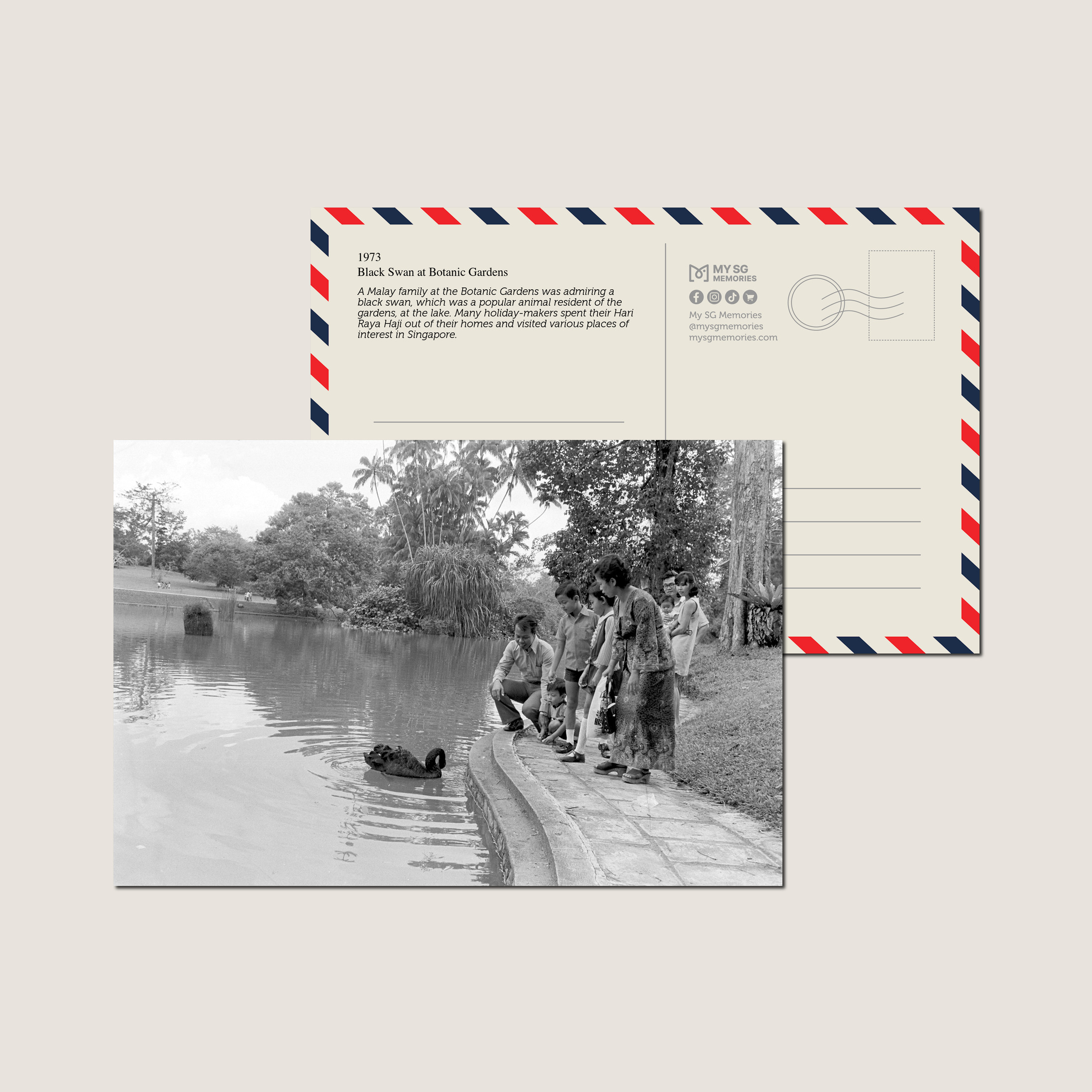 Black Swan at Botanic Gardens 1973-My Sg Memories