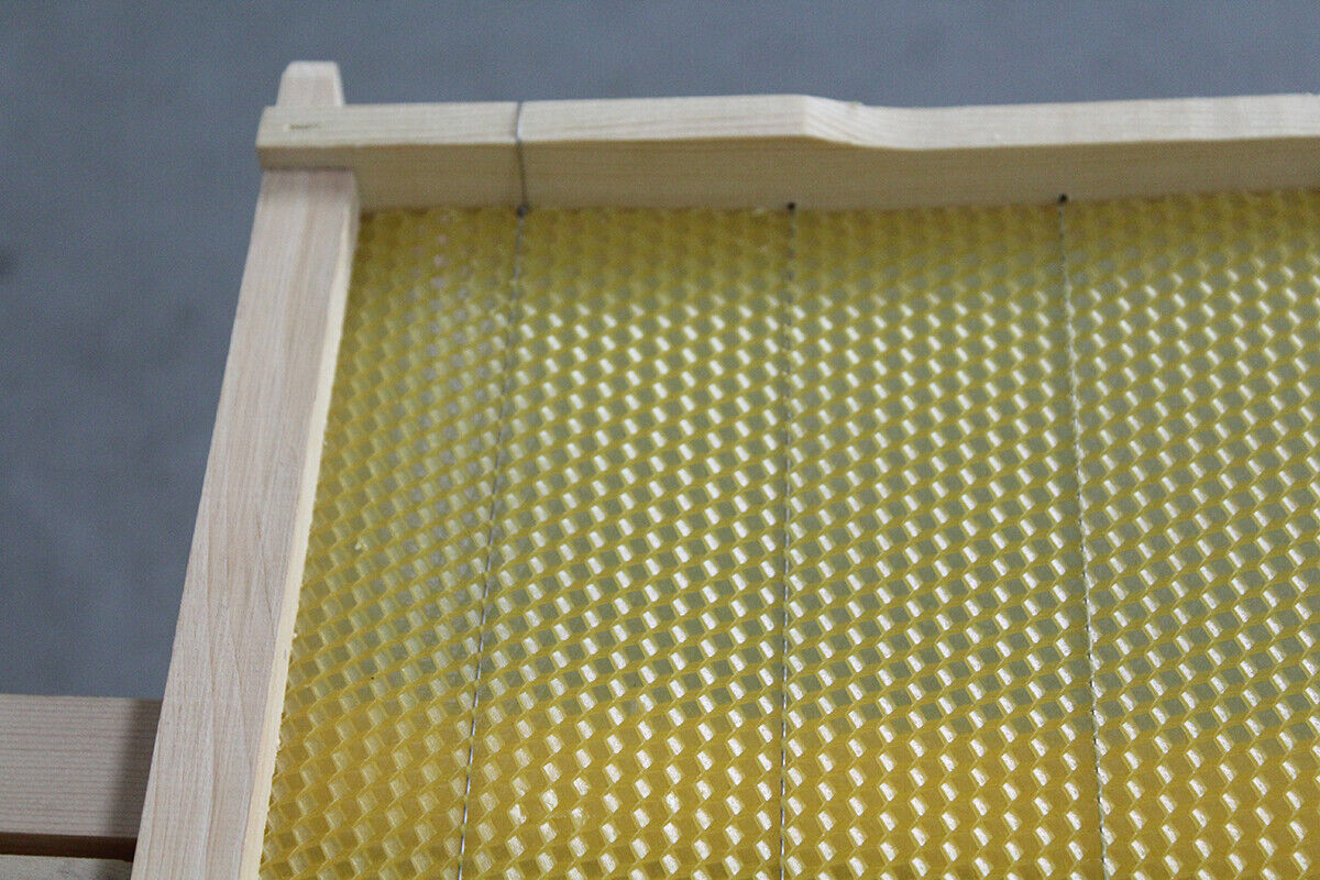 20 xBee Hive Frames Bee Foundation Deep Bee Hive Wax Foundation Waxing Honeycomb