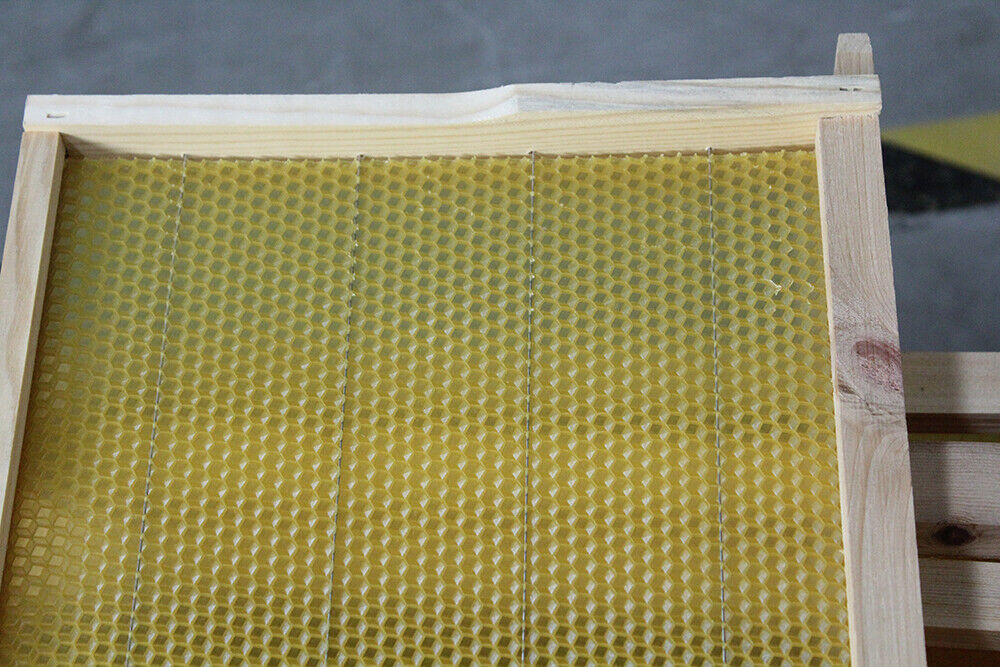20 xBee Hive Frames Bee Foundation Deep Bee Hive Wax Foundation Waxing Honeycomb
