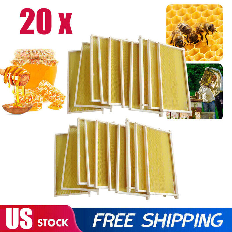 20 xBee Hive Frames Bee Foundation Deep Bee Hive Wax Foundation Waxing Honeycomb