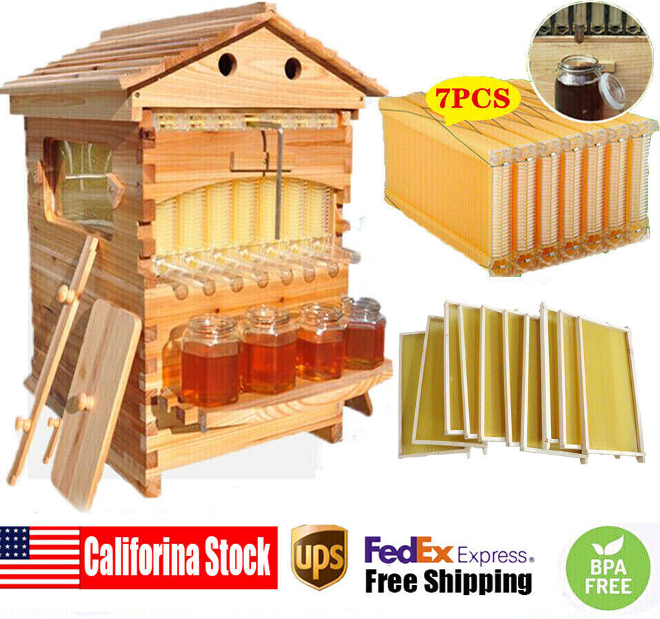 7 Auto Beehives Frames + 10 Bee Frames Foundations + 2 Hive Box Brood Super Box