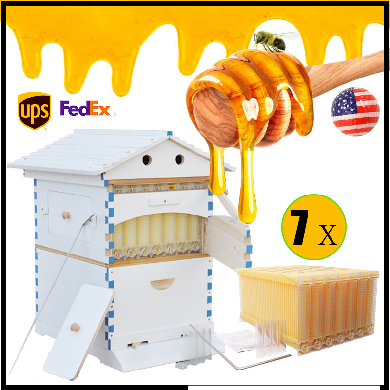 Painted Auto Flow Bee Hives Beekeeping Brood House Bee Boxes &7 Beehive Frames