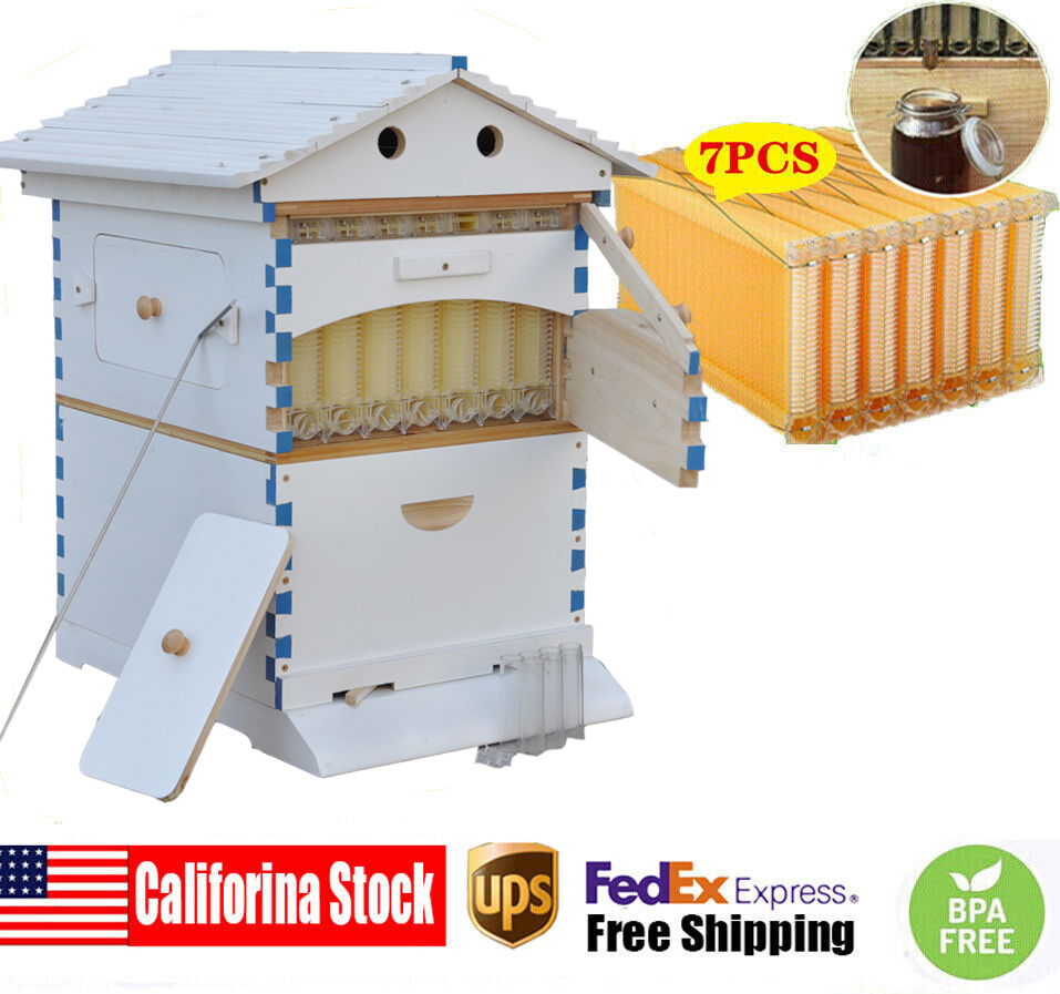 Painted Auto Flow Bee Hives Beekeeping Brood House Bee Boxes &7 Beehive Frames