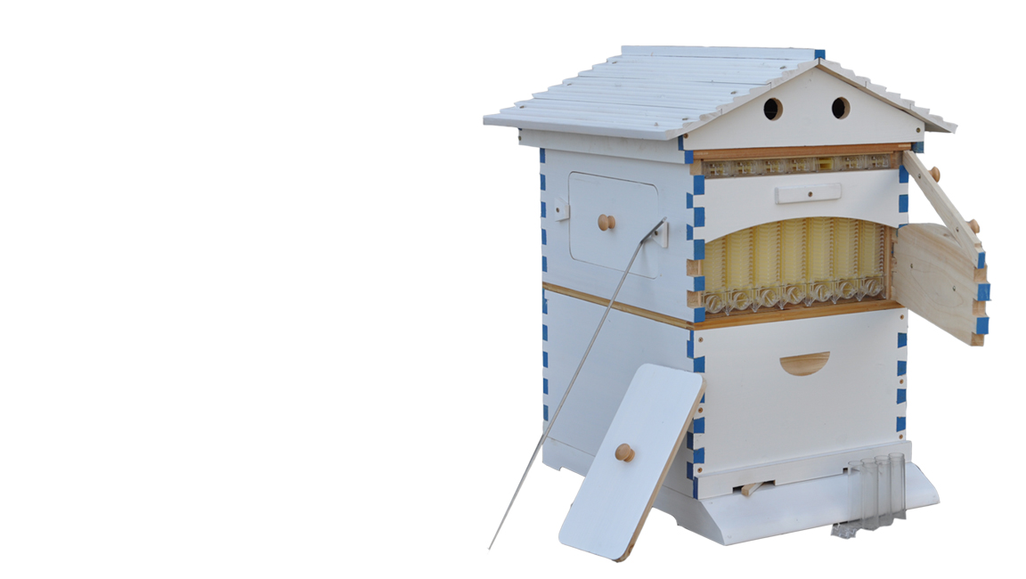 Painted Auto Flow Bee Hives Beekeeping Brood House Bee Boxes &7 Beehive Frames