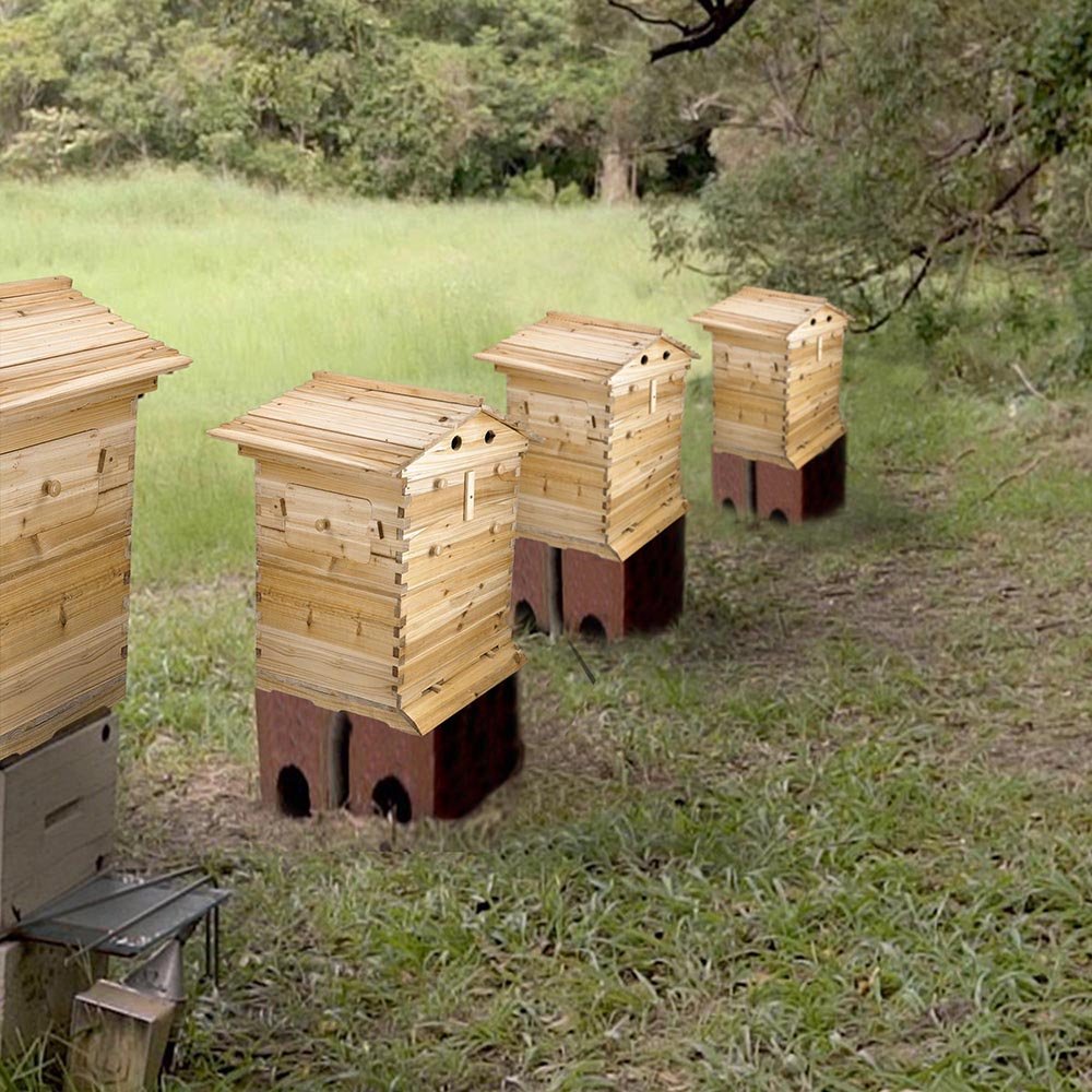 AU Auto Flow Bee Hive Boxes House Beehives + 7 Beekeeping Plastic Frames BPA Free