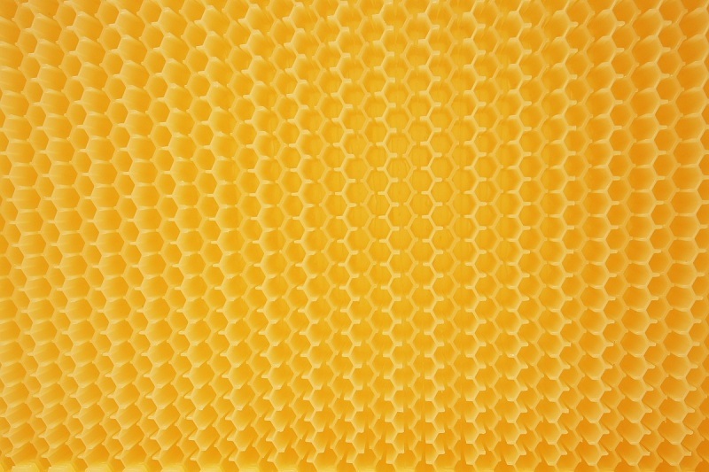 US AUTO FLOW 7PCS Hive Frame for Beehive House Upgraded Auto Honey Bee Comb