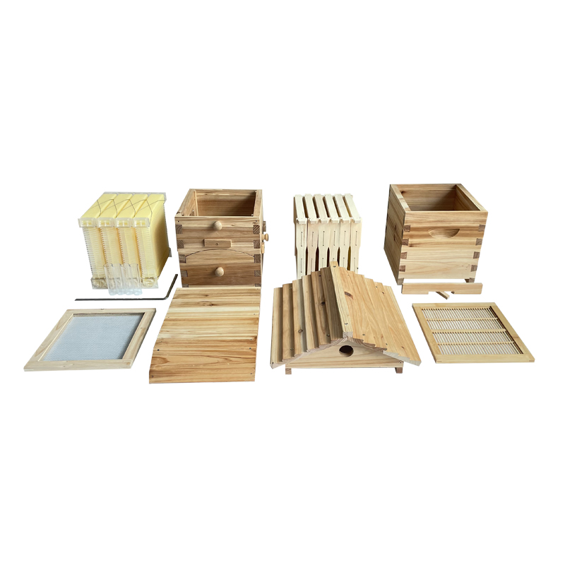 Mini Auto Flow Beehive Beekeeping Boxes Fir Wooden Bee Hive + 4 flow frames + 6 Bee Foundation Deep Bee Hive Wax Foundation Bee Hive Frames