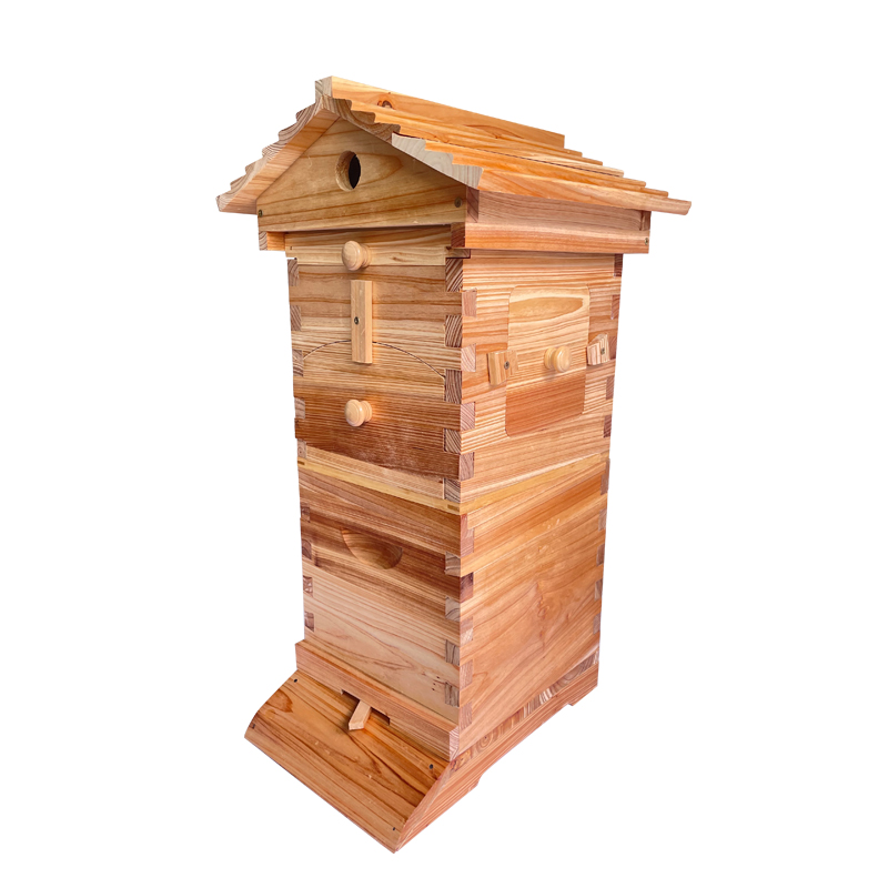Mini Auto Flow Beehive Beekeeping Boxes Fir Wooden Bee Hive + 4 flow frames + 6 Bee Foundation Deep Bee Hive Wax Foundation Bee Hive Frames