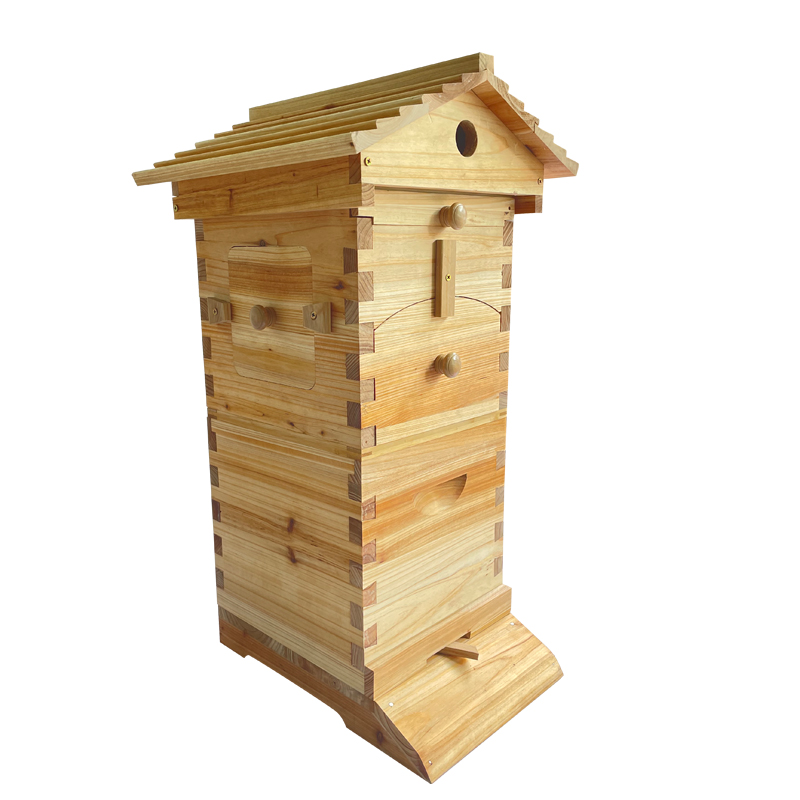 Mini Auto Flow Beehive Beekeeping Boxes Fir Wooden Bee Hive + 4 flow frames + 6 Bee Foundation Deep Bee Hive Wax Foundation Bee Hive Frames