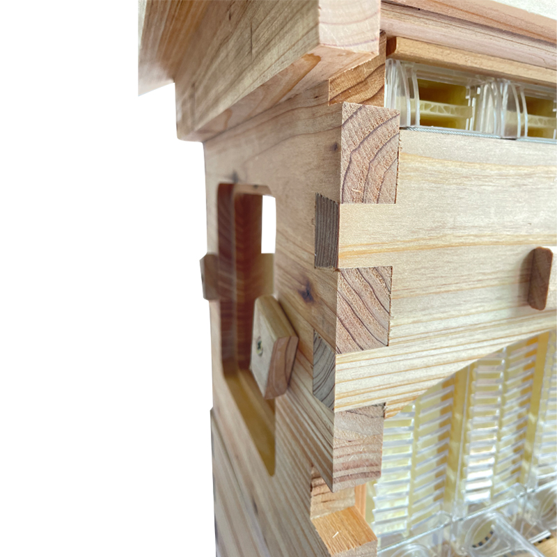 Mini Auto Flow Beehive Beekeeping Boxes Fir Wooden Bee Hive + 4 flow frames + 6 Bee Foundation Deep Bee Hive Wax Foundation Bee Hive Frames