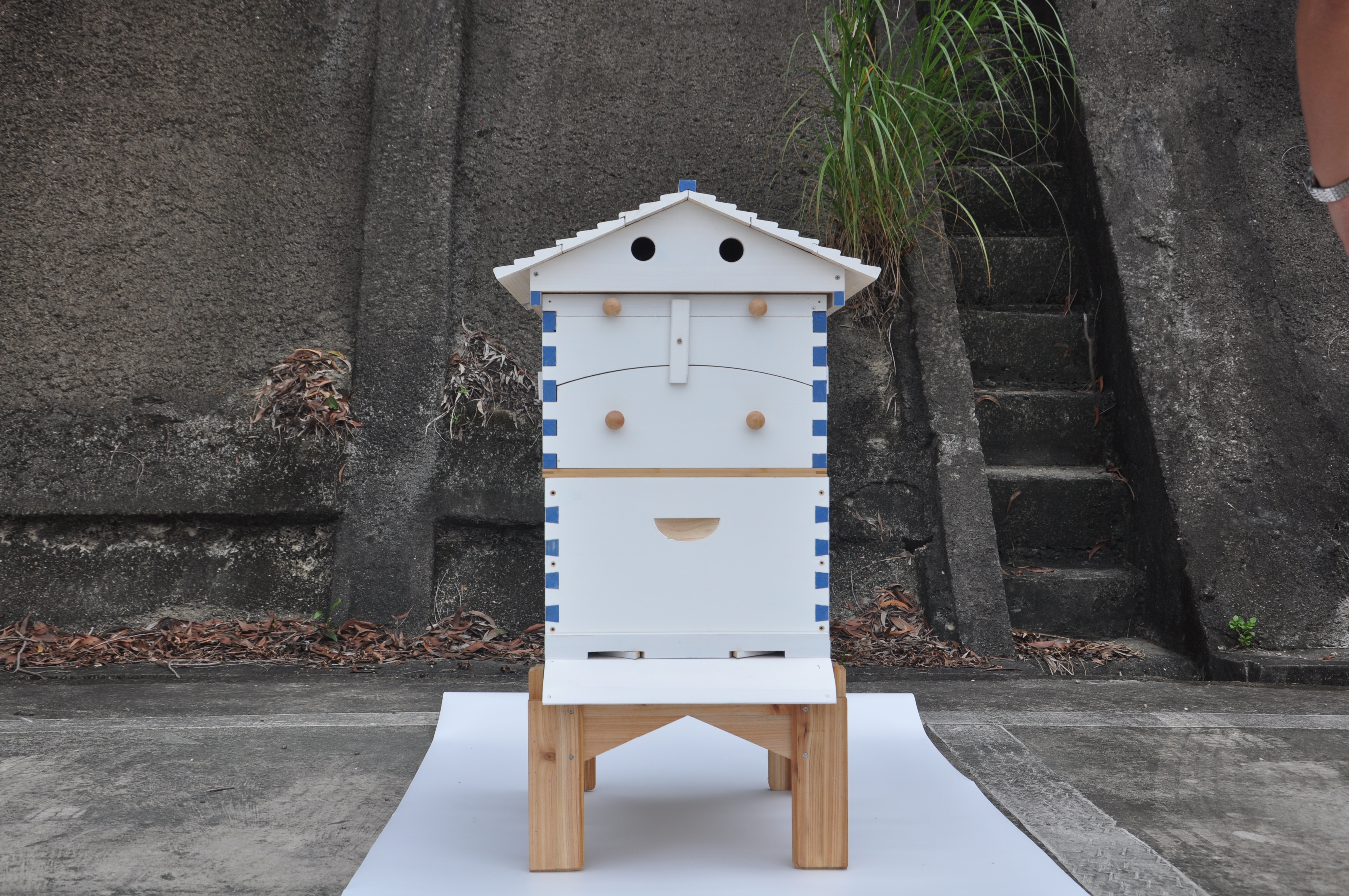 US STOCK Wooden Auto Flow Beehives Beekeeping Boxes + 7x Bee Hives Frames+ Box Stand