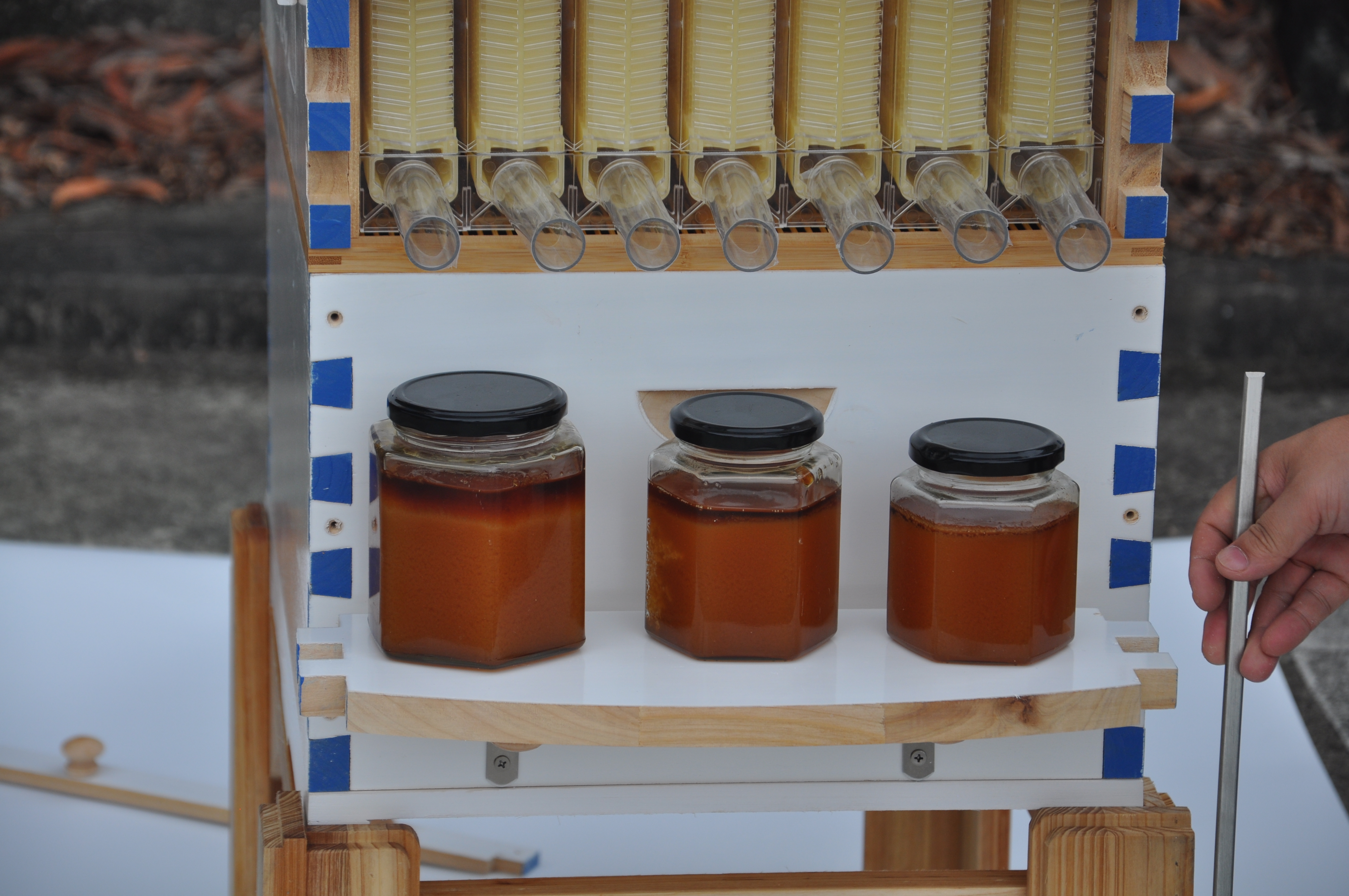 US STOCK Wooden Auto Flow Beehives Beekeeping Boxes + 7x Bee Hives Frames+ Box Stand