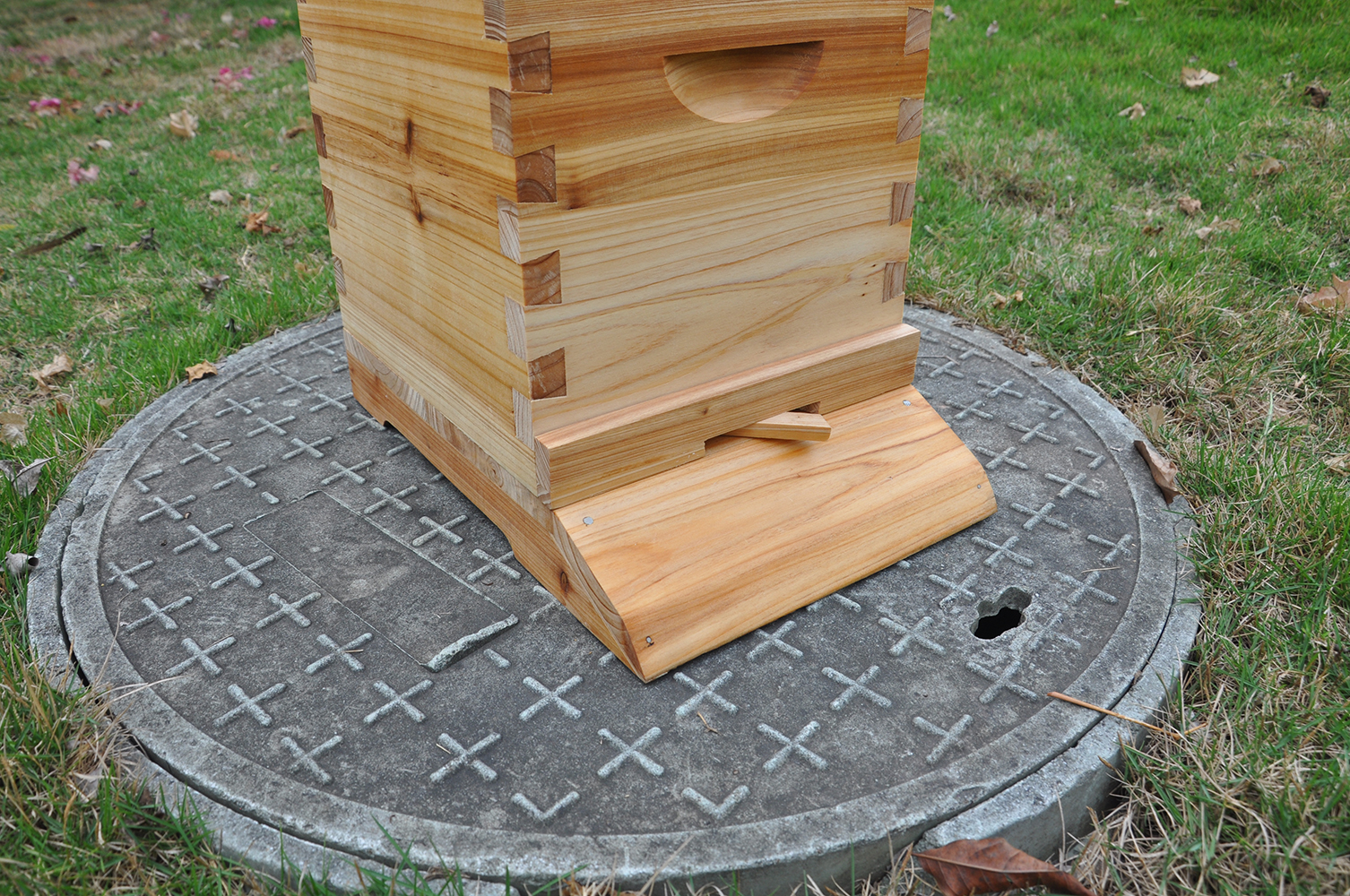 Auto Flow Bee Hives Honey Boxes Beehive + 4 x Beekeeping Frames +6 Bee Foundations with frames
