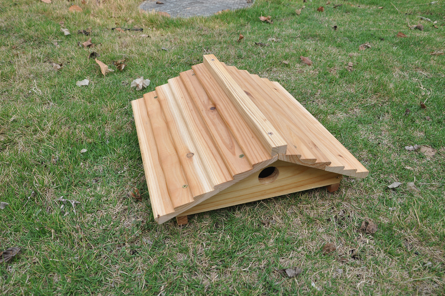 Auto Flow Bee Hives Honey Boxes Beehive + 4 x Beekeeping Frames +6 Bee Foundations with frames