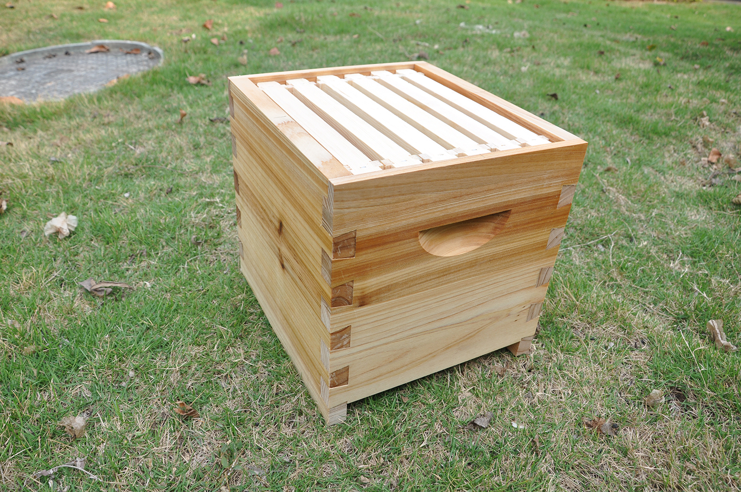 Auto Flow Bee Hives Honey Boxes Beehive + 4 x Beekeeping Frames +6 Bee Foundations with frames