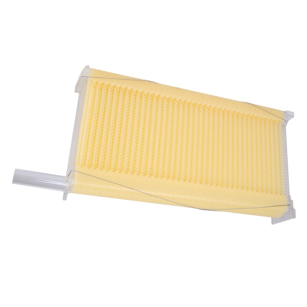 AU Auto Flow Bee Hive Boxes House Beehives + 7 Beekeeping Plastic Frames BPA Free