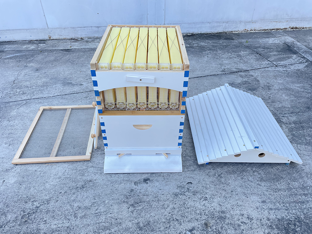 US STOCK Wooden Auto Flow Beehives Beekeeping Boxes + 7x Bee Hives Frames+ Box Stand