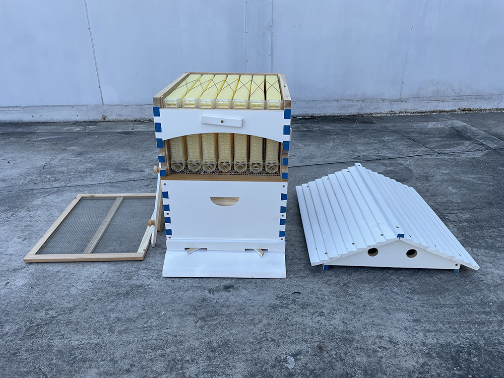 US STOCK Wooden Auto Flow Beehives Beekeeping Boxes + 7x Bee Hives Frames+ Box Stand