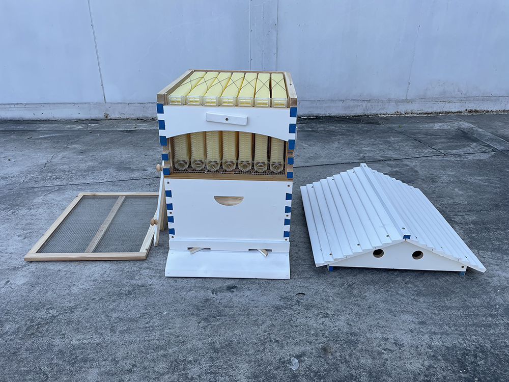 US STOCK Wooden Auto Flow Beehives Beekeeping Boxes + 7x Bee Hives Frames+ Box Stand
