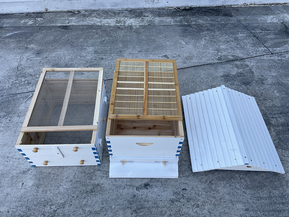 Painted Empty Auto Flow Bee Hives Honey House Beekeeping Beehive Only