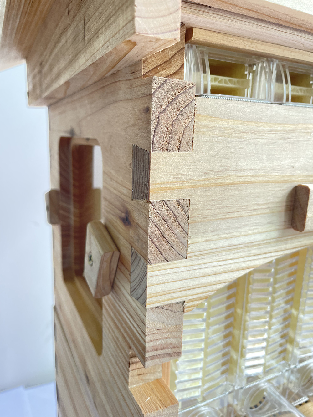 Auto Flow Bee Hives Honey Boxes Beehive + 4 x Beekeeping Frames +6 Bee Foundations with frames