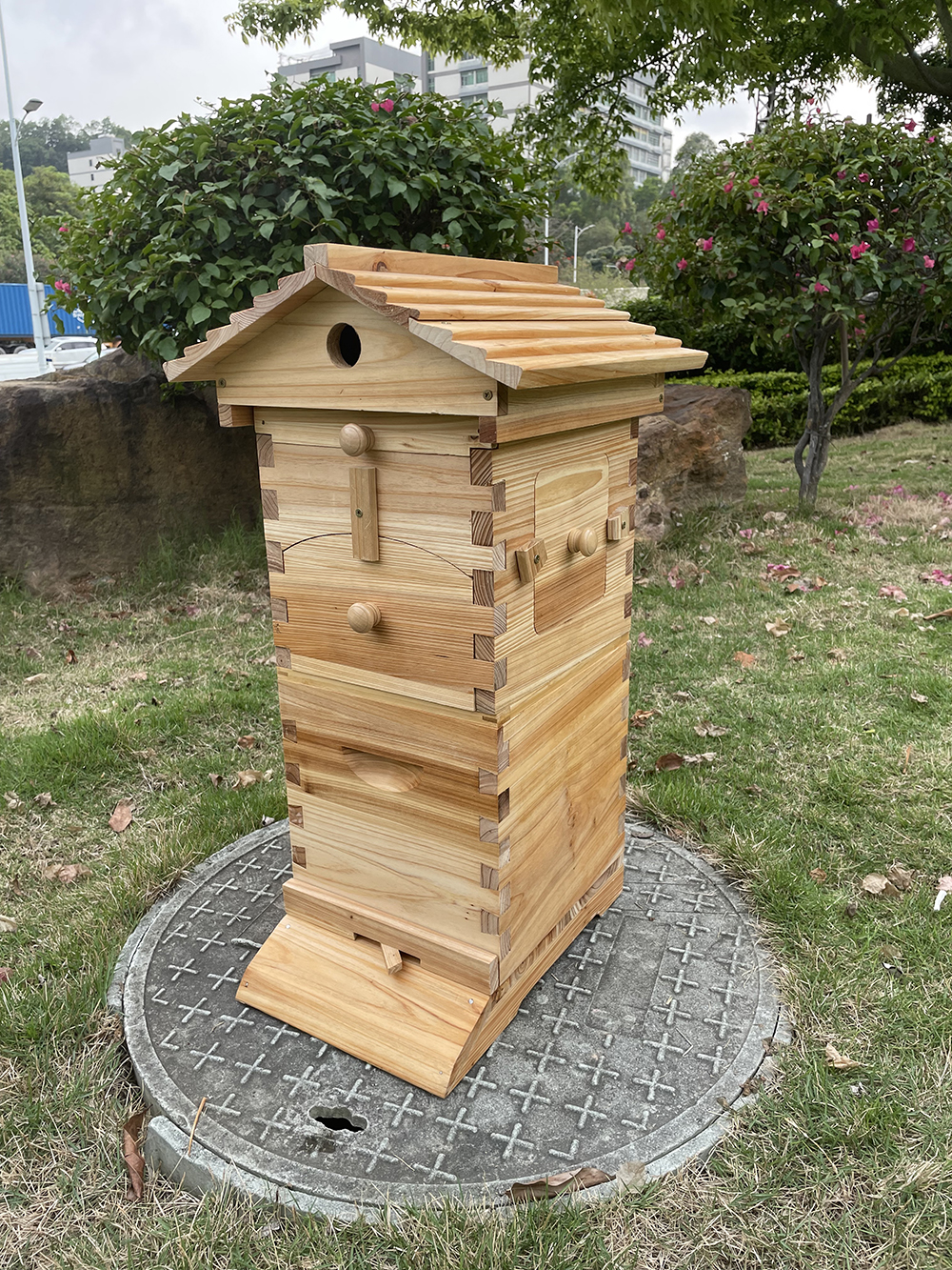 Auto Flow Bee Hives Honey Boxes Beehive + 4 x Beekeeping Frames +6 Bee Foundations with frames
