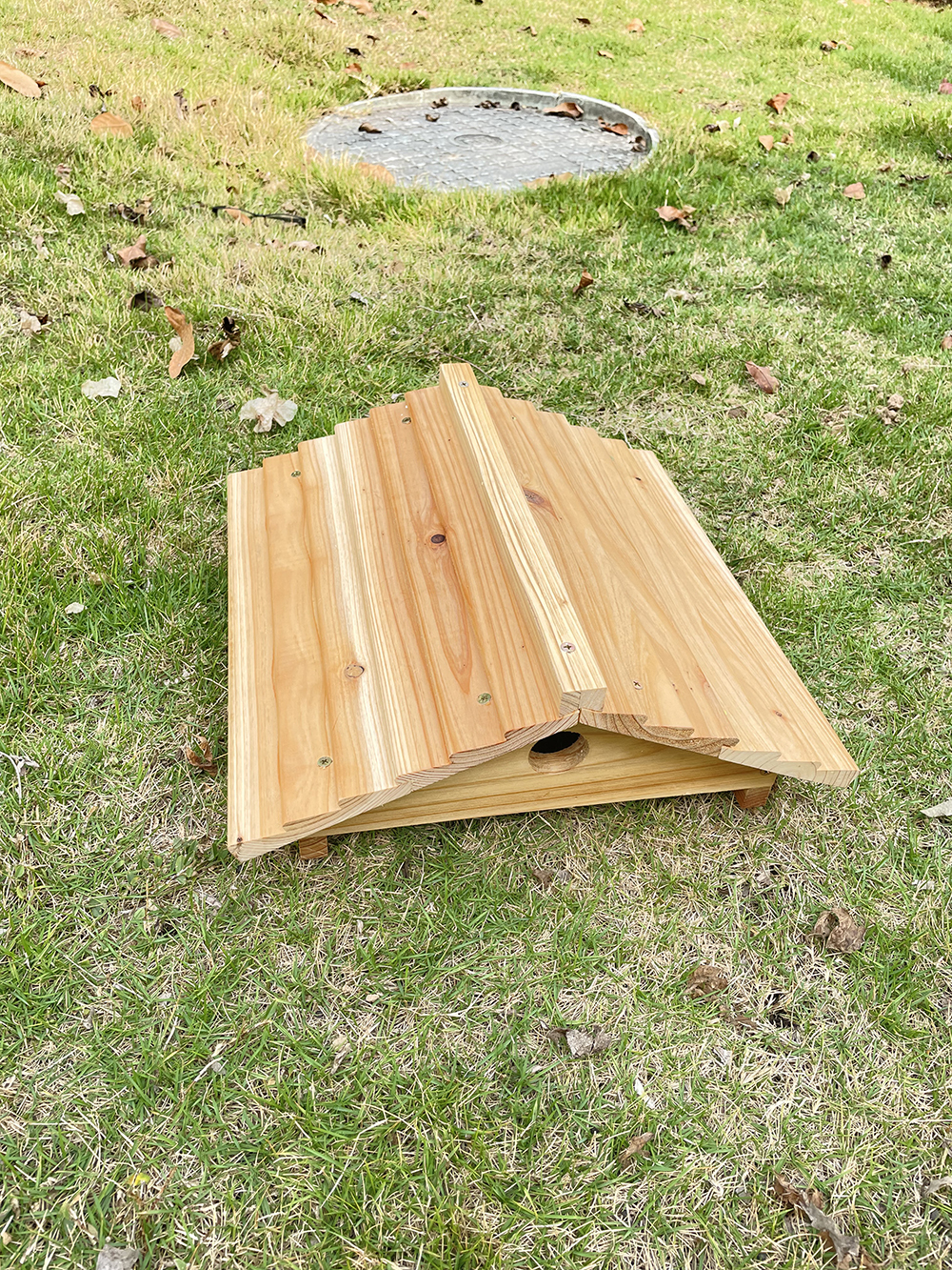 Auto Flow Bee Hives Honey Boxes Beehive + 4 x Beekeeping Frames +6 Bee Foundations with frames