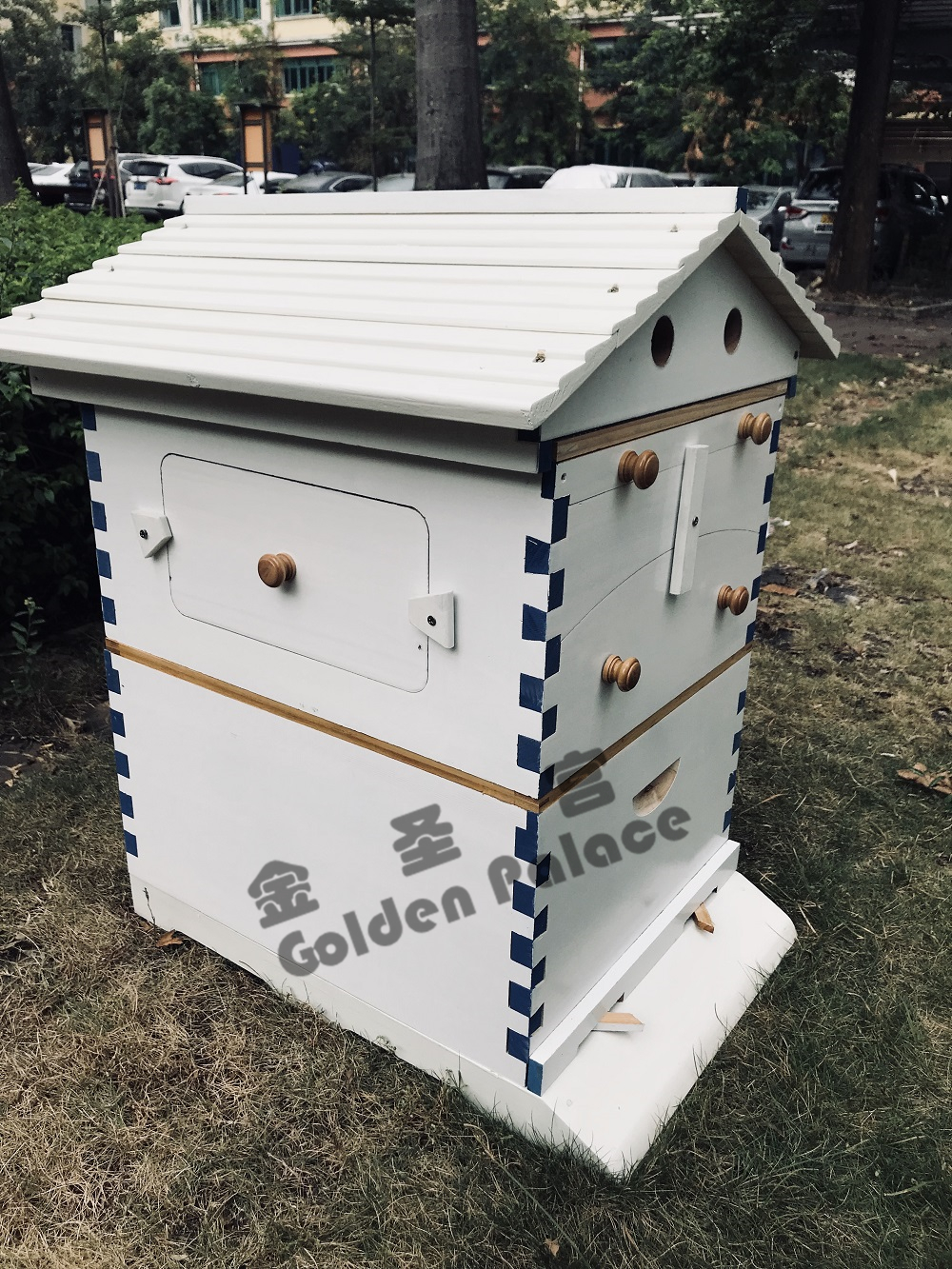 US STOCK Wooden Auto Flow Beehives Beekeeping Boxes + 7x Bee Hives Frames+ Box Stand