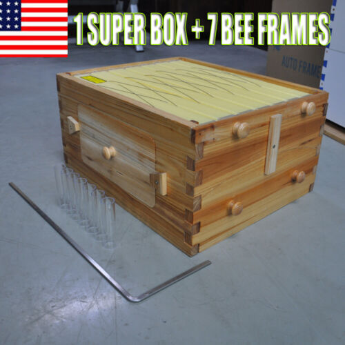 US STOCK Auto Flowing Beehives Spare Parts Beekeeping Super Box + 7 Honey Bee Frames