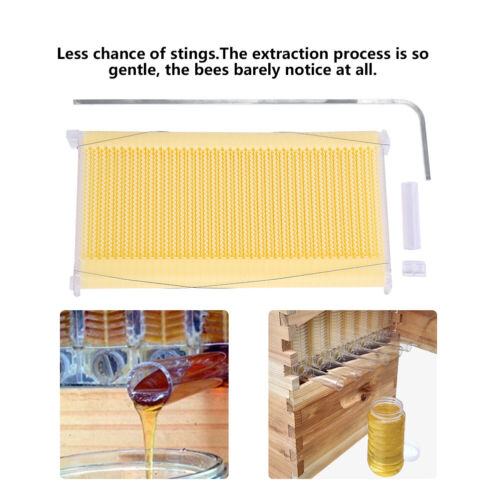 US STOCK Auto Flowing Beehives Spare Parts Beekeeping Super Box + 7 Honey Bee Frames