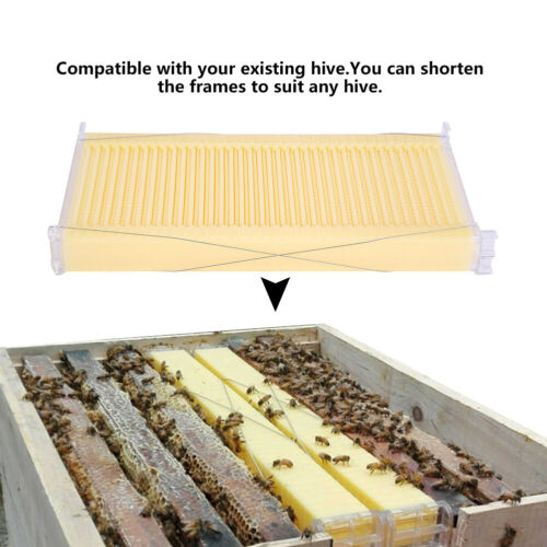 US STOCK Auto Flowing Beehives Spare Parts Beekeeping Super Box + 7 Honey Bee Frames