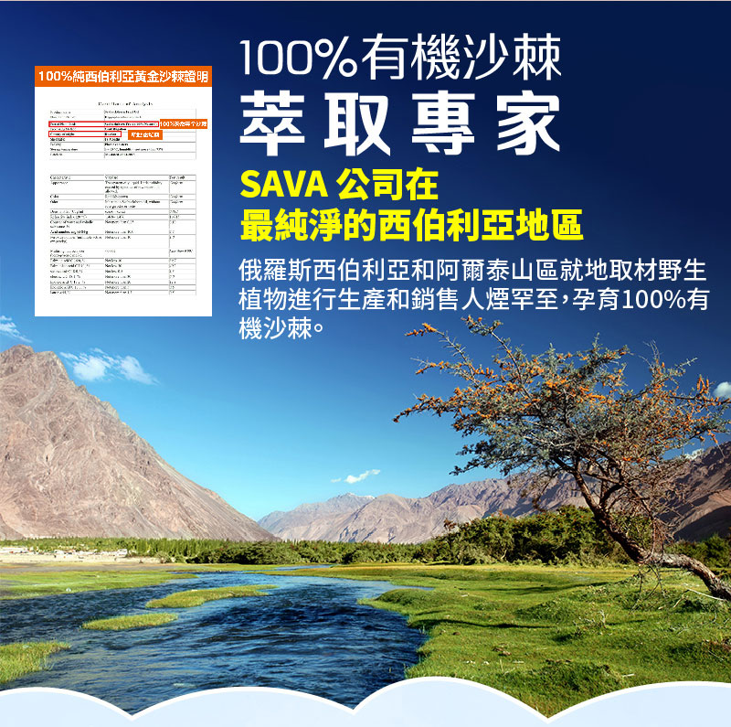 Siberia SAVA 100% Capsules (30 capsules per box)