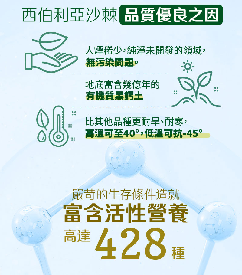 Siberia SAVA 100% Capsules (30 capsules per box)