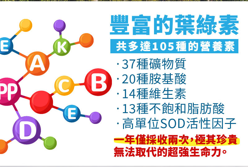 Green Gold DAILY Magnesium Glycinate (2 versions available) (30 capsules per box)