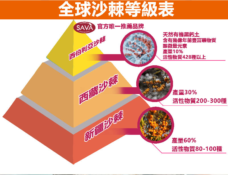 Siberia SAVA 100% Capsules (30 capsules per box)