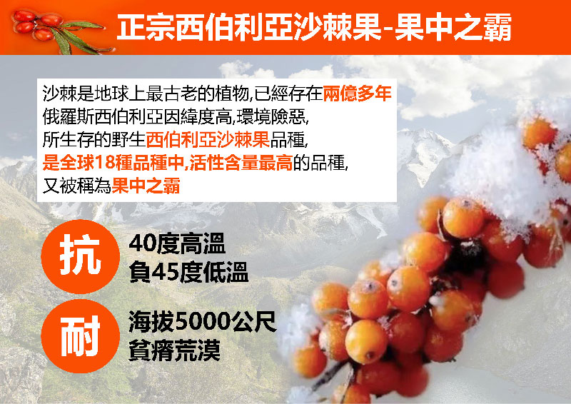 Siberia SAVA 100% Capsules (30 capsules per box)